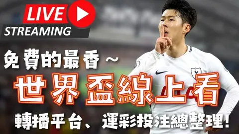 女子拳击世锦赛四分之一决赛精彩回顾